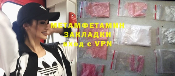 прущие грибы Волоколамск