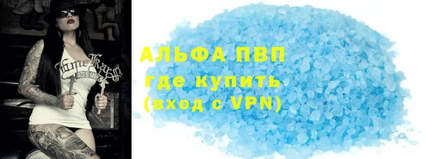 прущие грибы Волоколамск