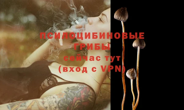 гашиш Володарск