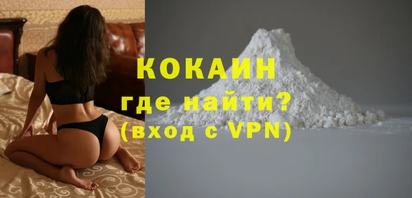 стаф Вяземский