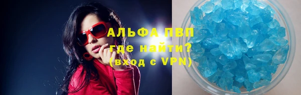 прущие грибы Волоколамск