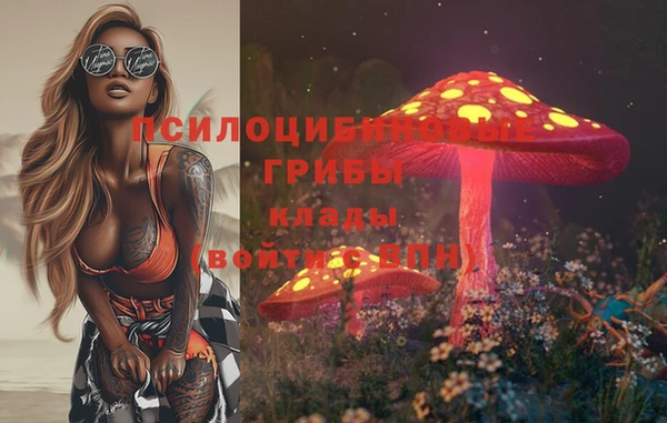 спайс Вязьма
