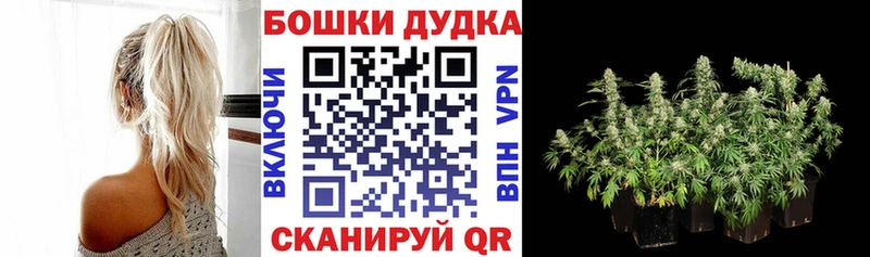 Шишки марихуана планчик как найти наркотики Муром